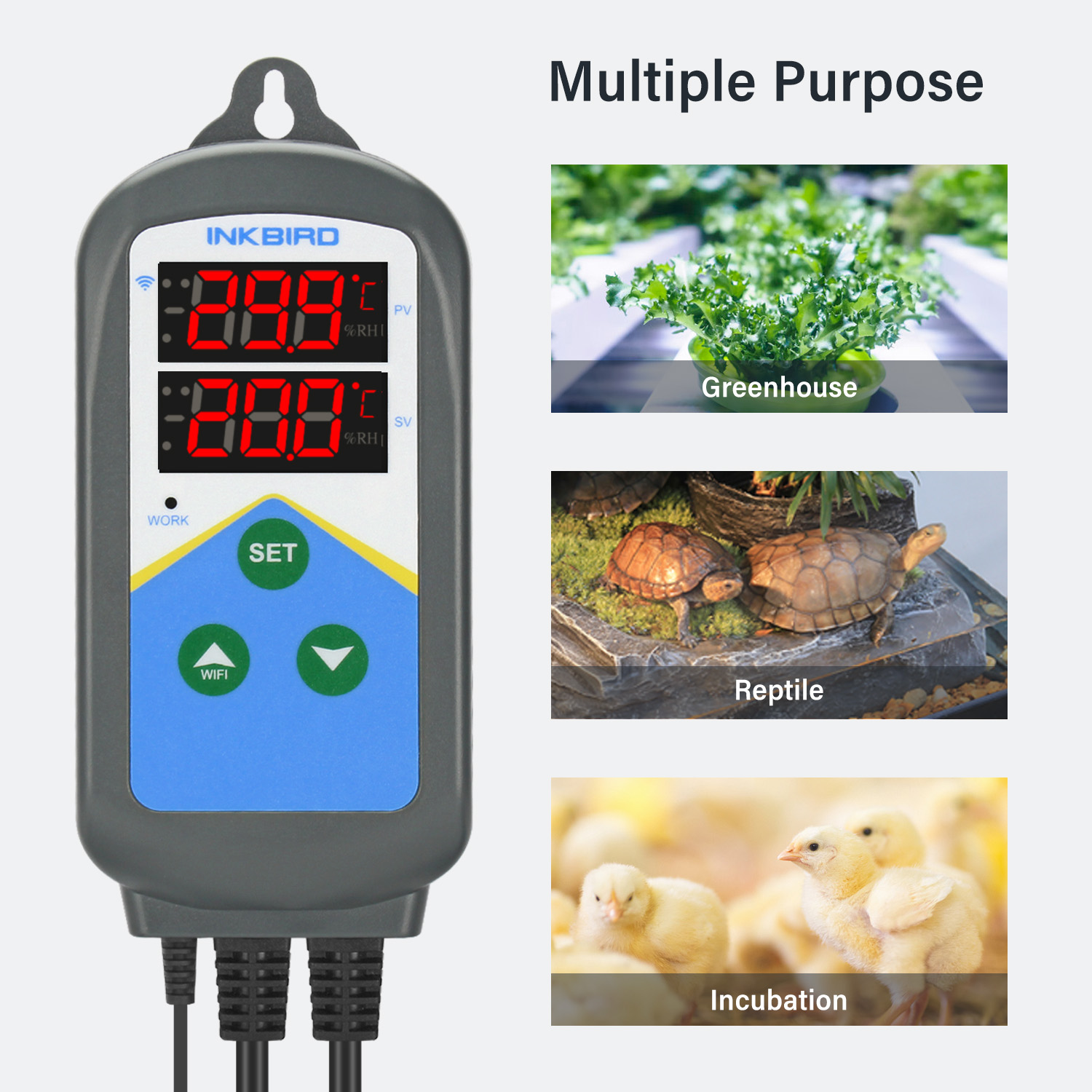 INKBIRD WIFI Thermoregulator I - Wifi Thermostat บทวิจารณ์และราคา