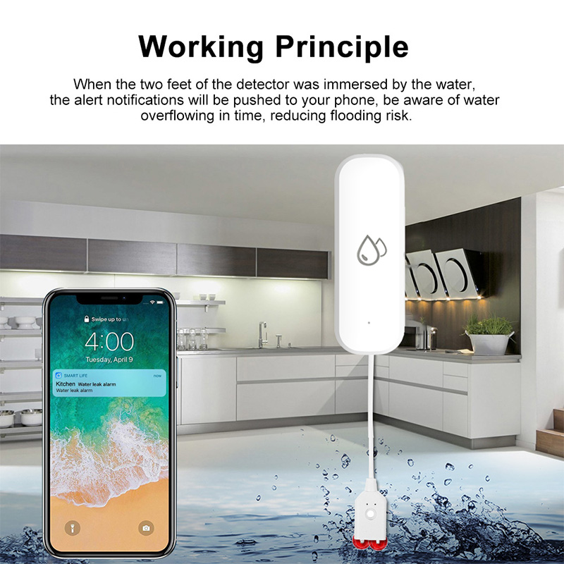 เซ็นเซอร์ตรวจจับน้ำรั่ว Tuya W - Smart Home Proxmox บทวิจารณ์และราคา